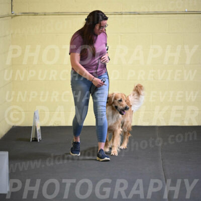 SAT203_0043