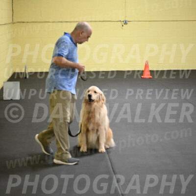 SAT204_0082