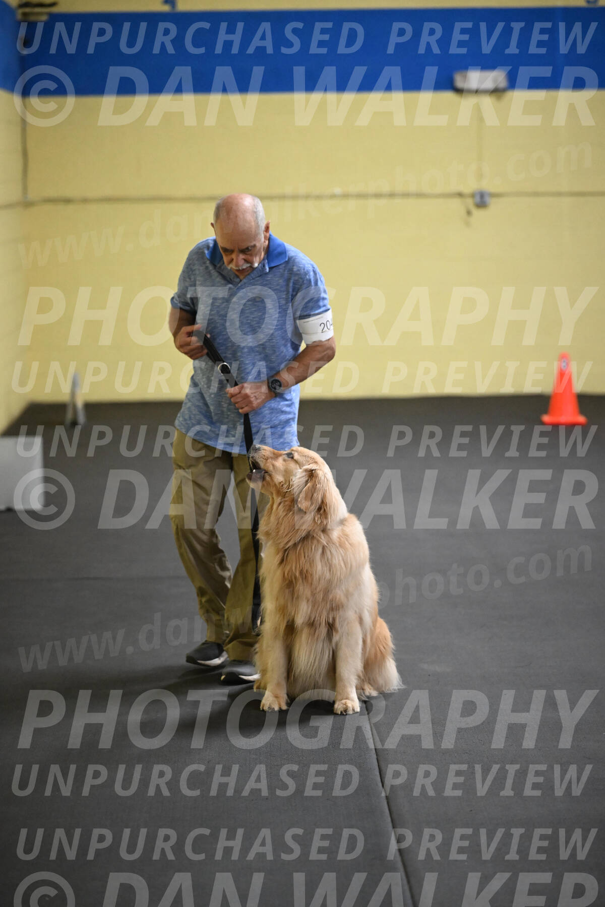 SAT204_0095