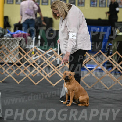 SAT205_0011