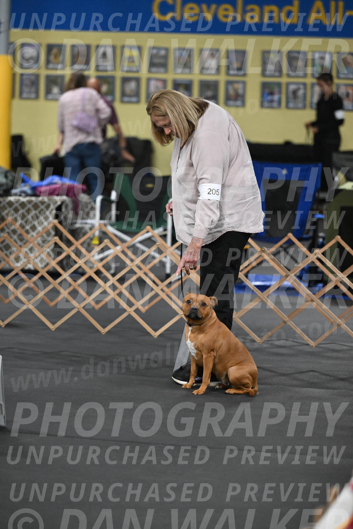 SAT205_0011
