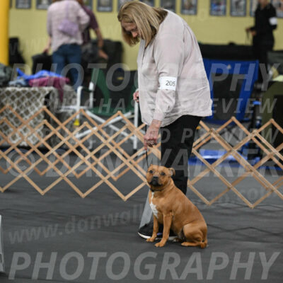 SAT205_0012
