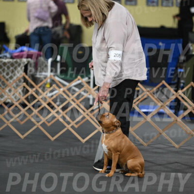 SAT205_0013