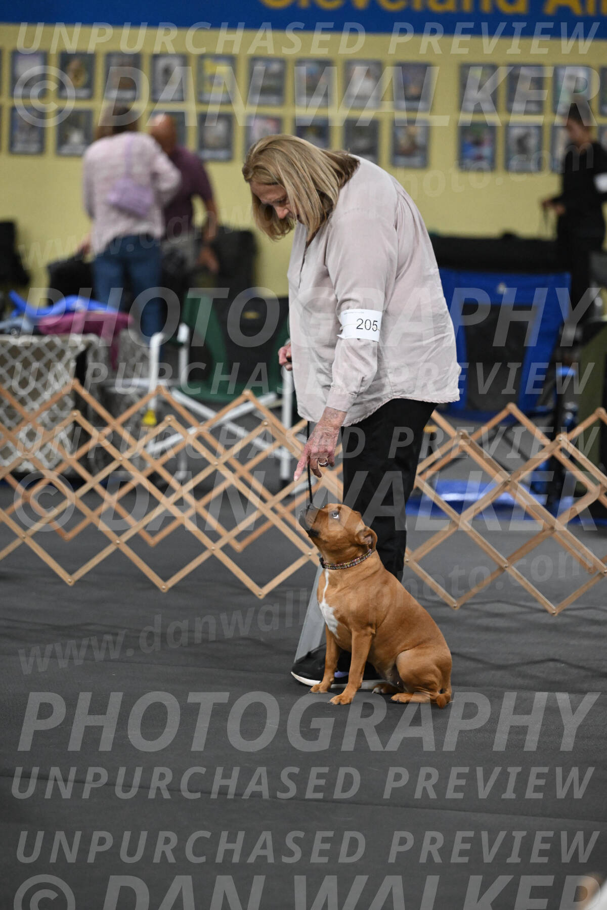 SAT205_0013