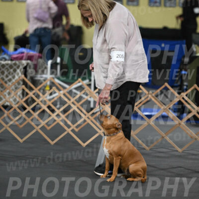 SAT205_0014