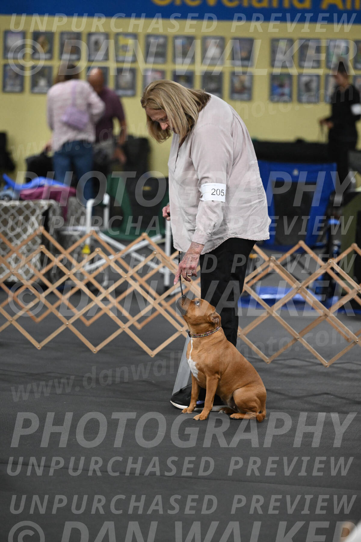 SAT205_0014