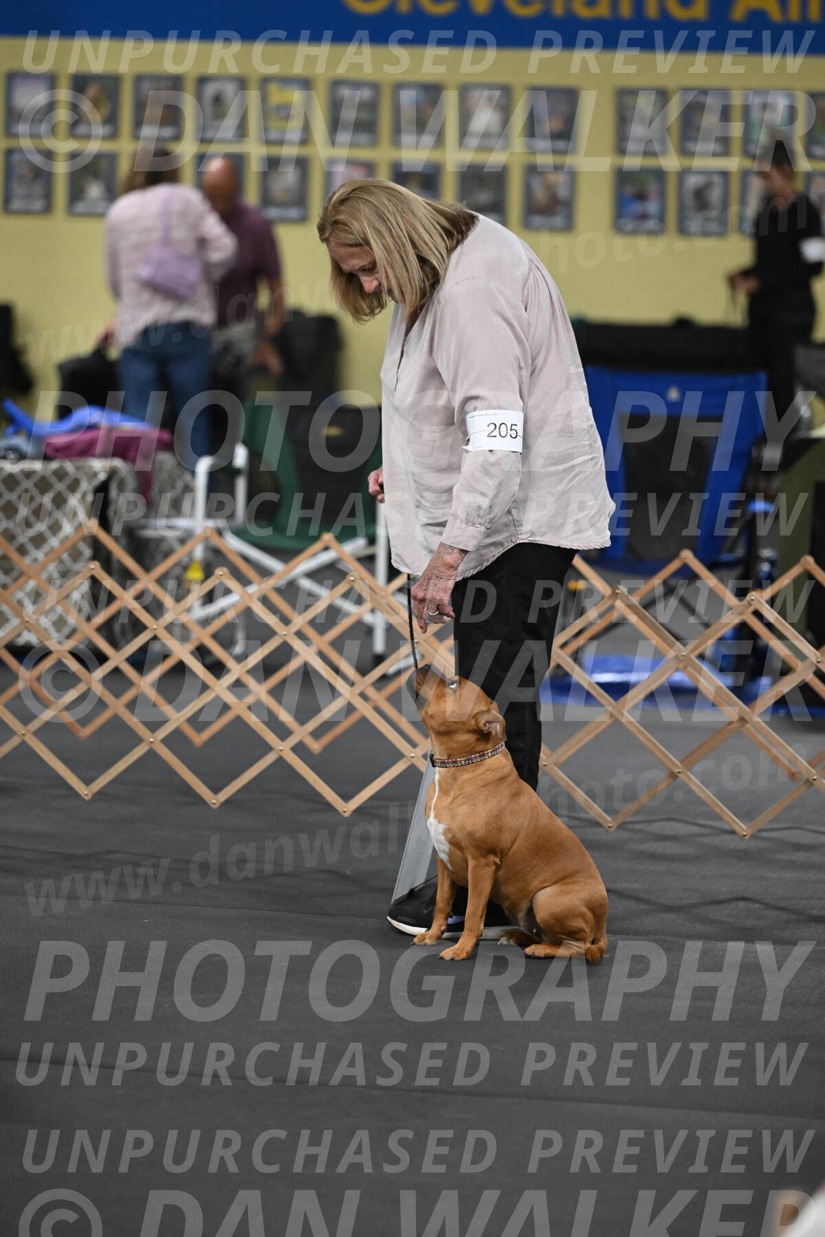 SAT205_0015
