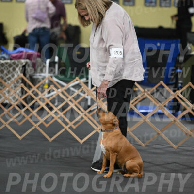 SAT205_0015