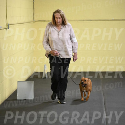 SAT205_0066