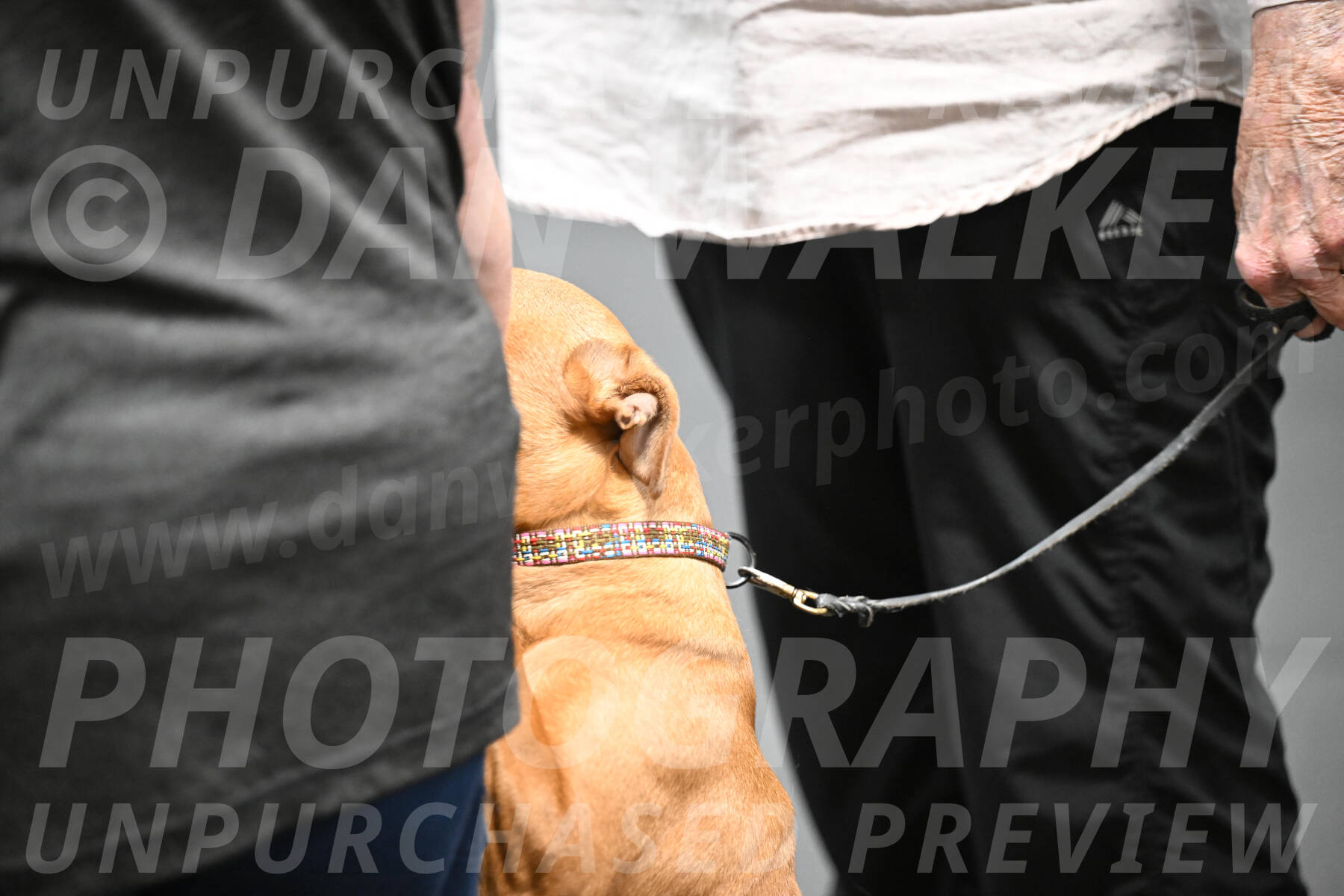 SAT205_0128