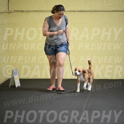 SAT302_0008