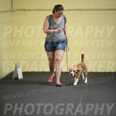 SAT302_0009