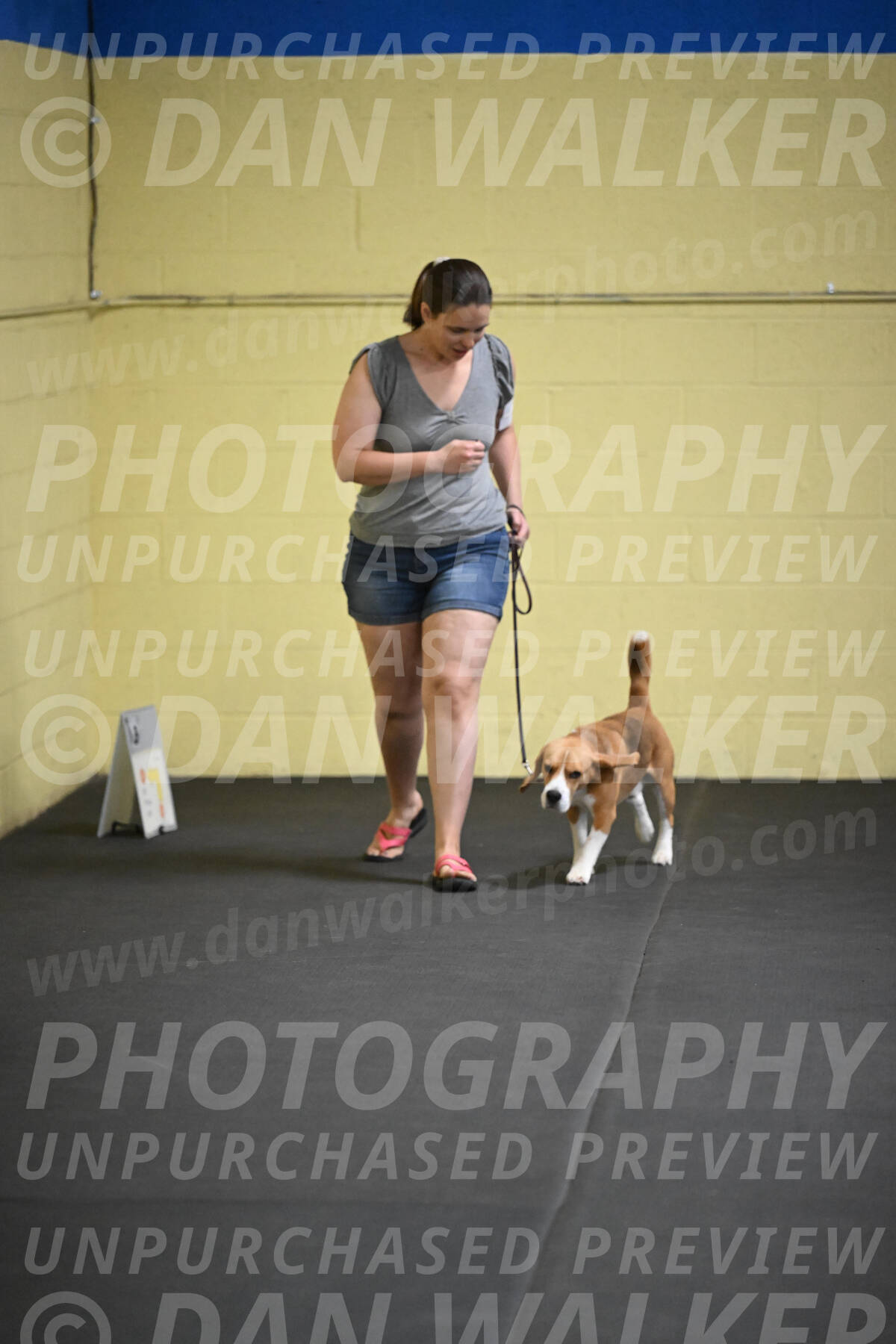 SAT302_0009