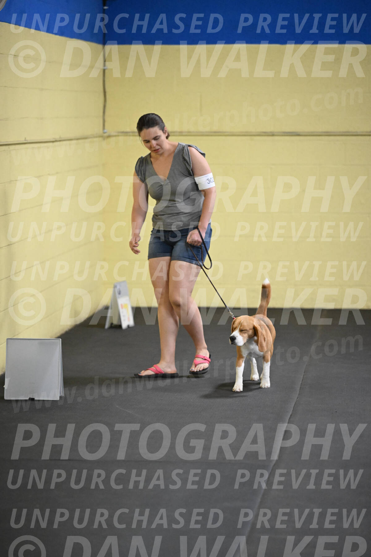 SAT302_0014