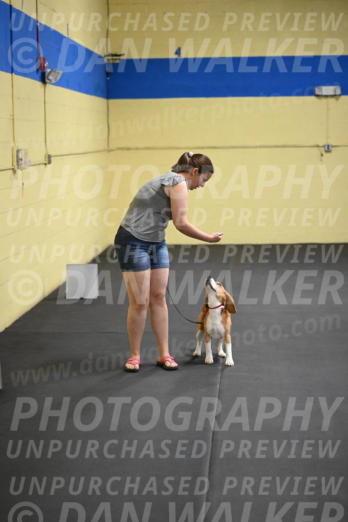 SAT302_0043