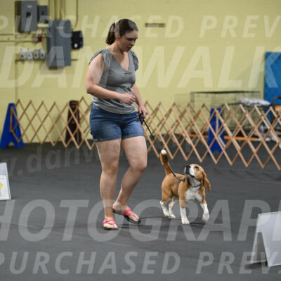 SAT302_0062