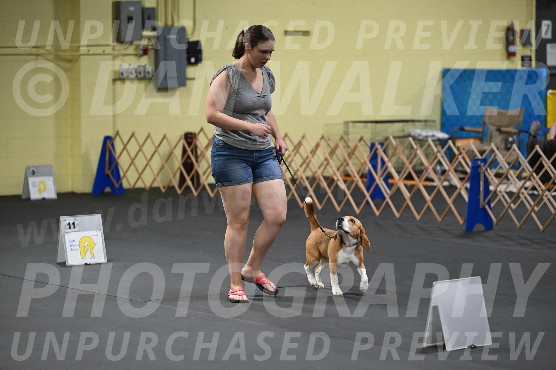 SAT302_0062