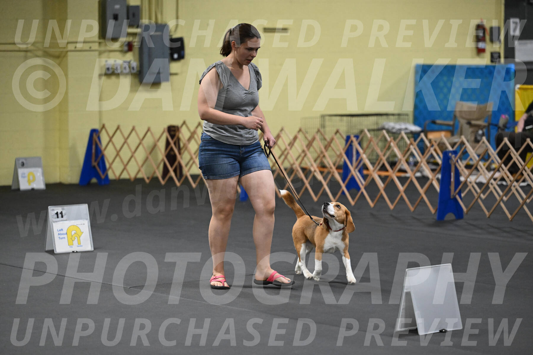 SAT302_0063