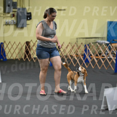 SAT302_0063