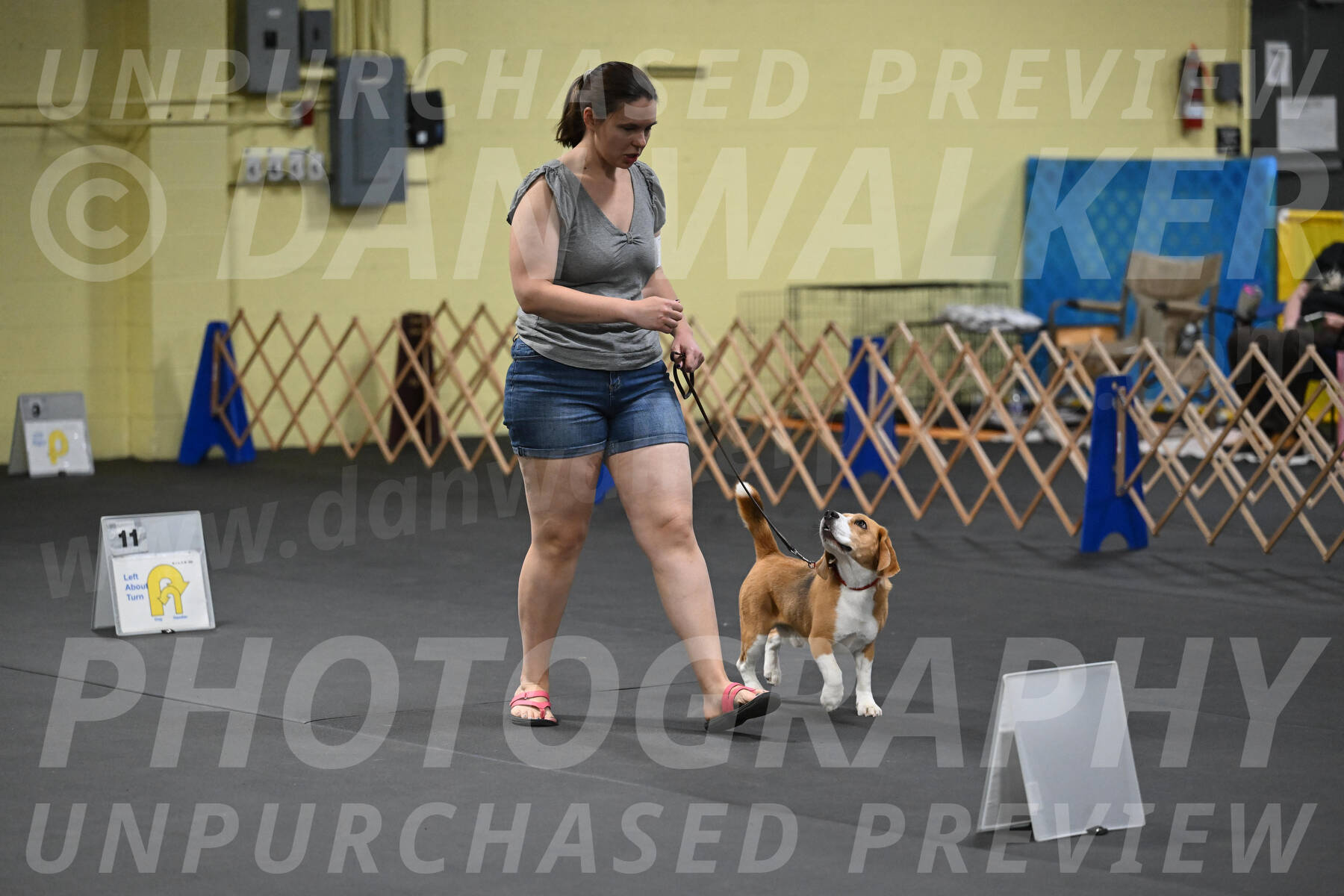 SAT302_0064