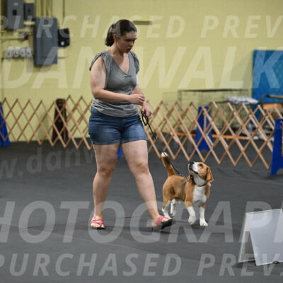 SAT302_0064