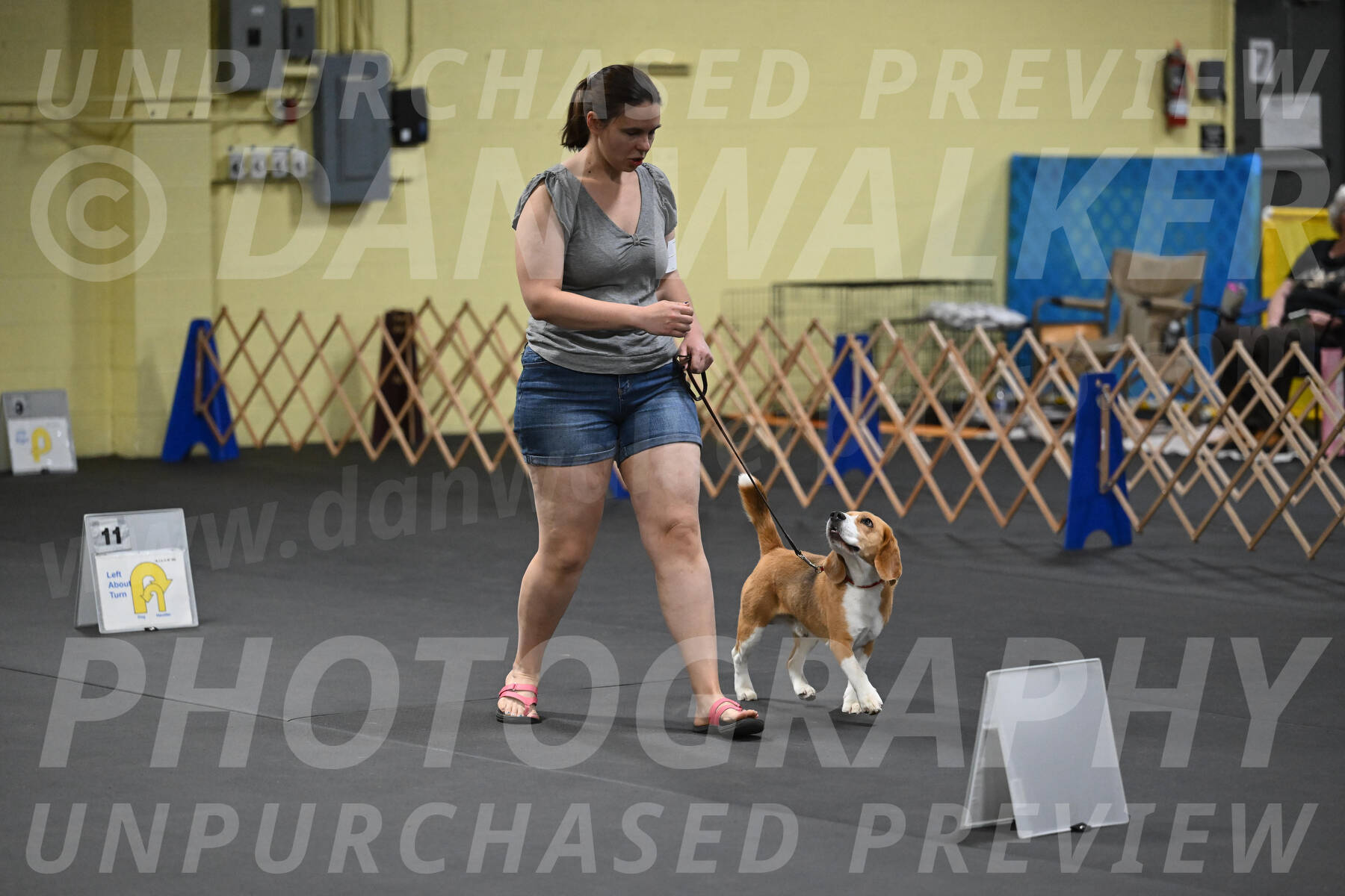 SAT302_0065