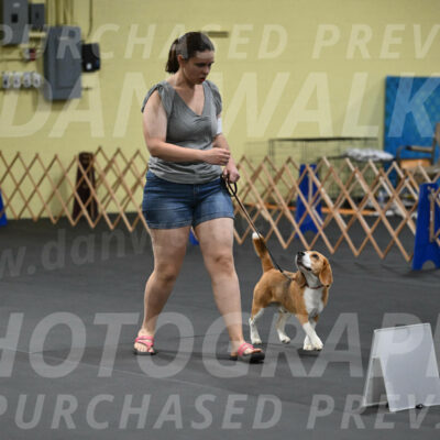 SAT302_0065