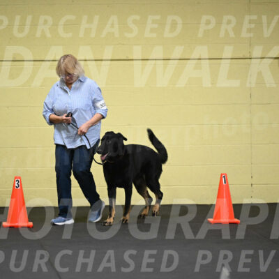 SAT303_0031