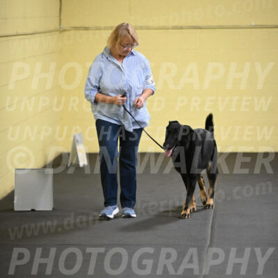 SAT303_0068