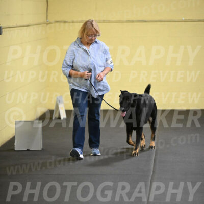 SAT303_0069