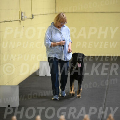 SAT303_0085