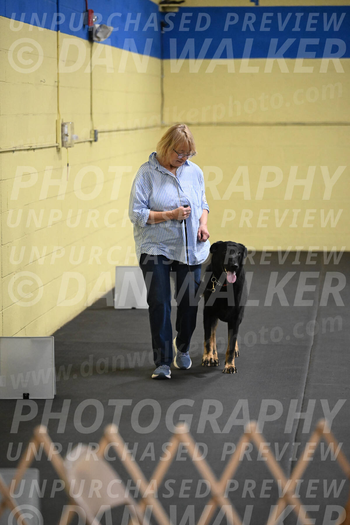 SAT303_0085