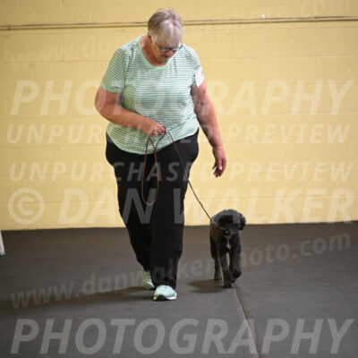SAT304_0038