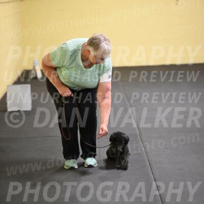 SAT304_0055