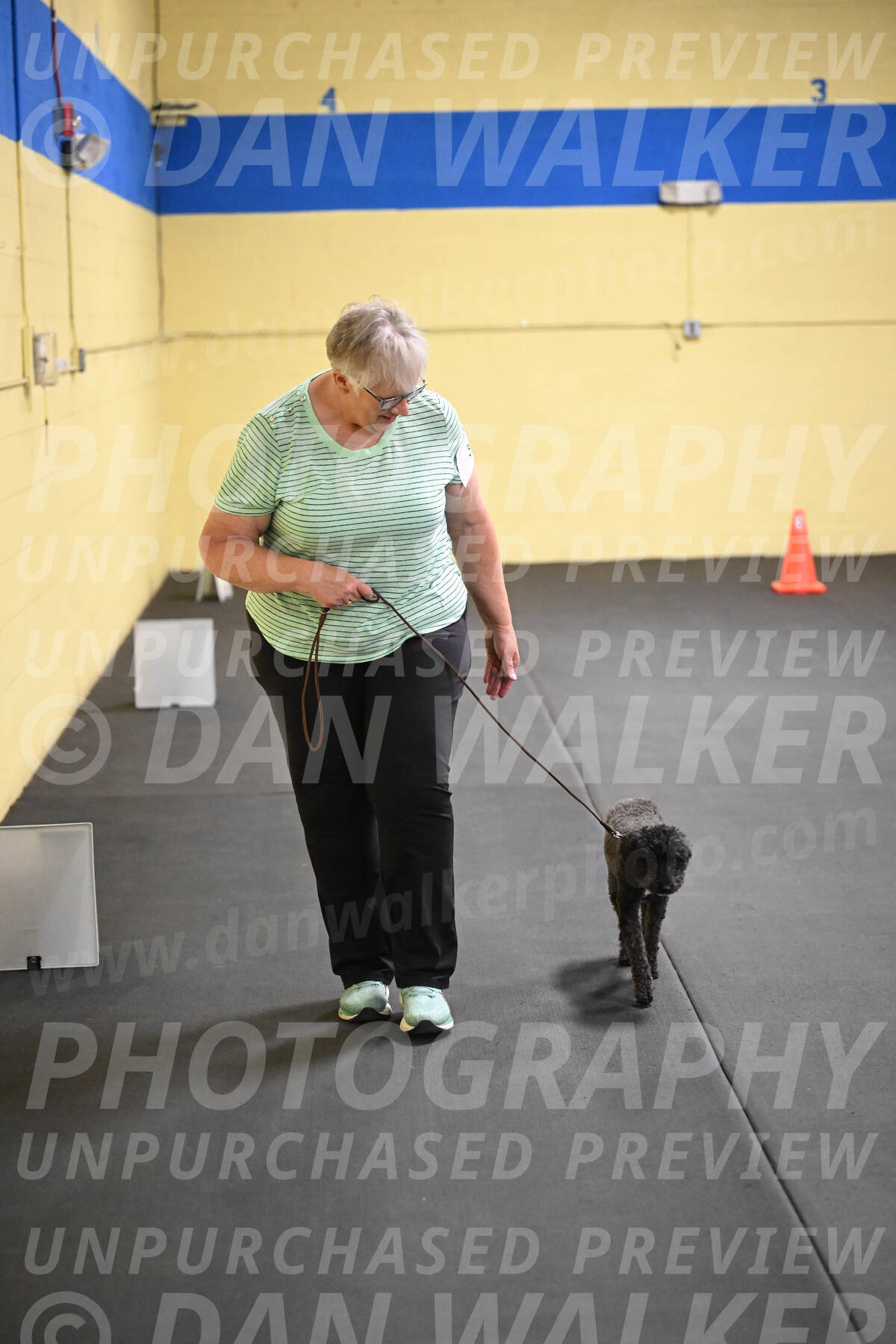 SAT304_0066