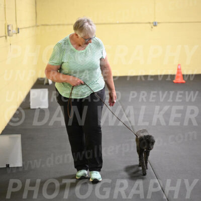 SAT304_0066