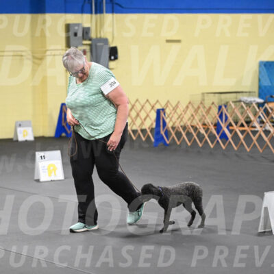 SAT304_0070