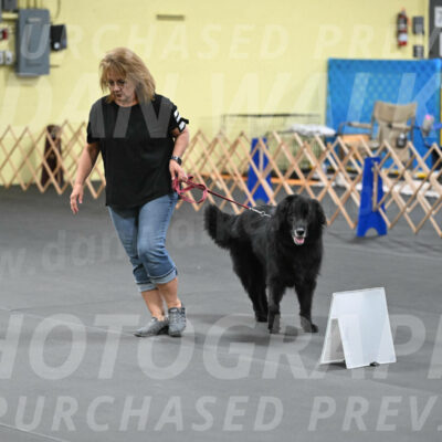 SAT305_0064