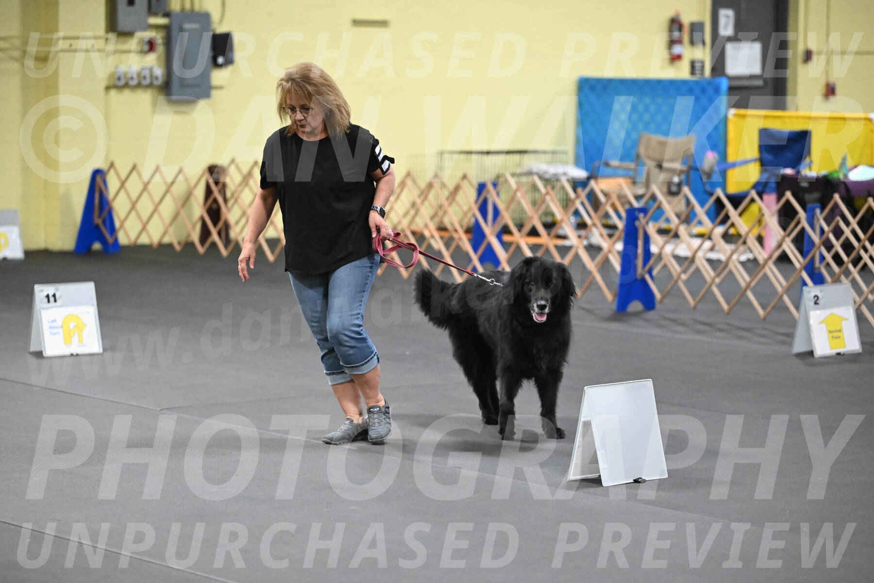 SAT305_0064