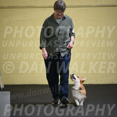 SAT401_0019