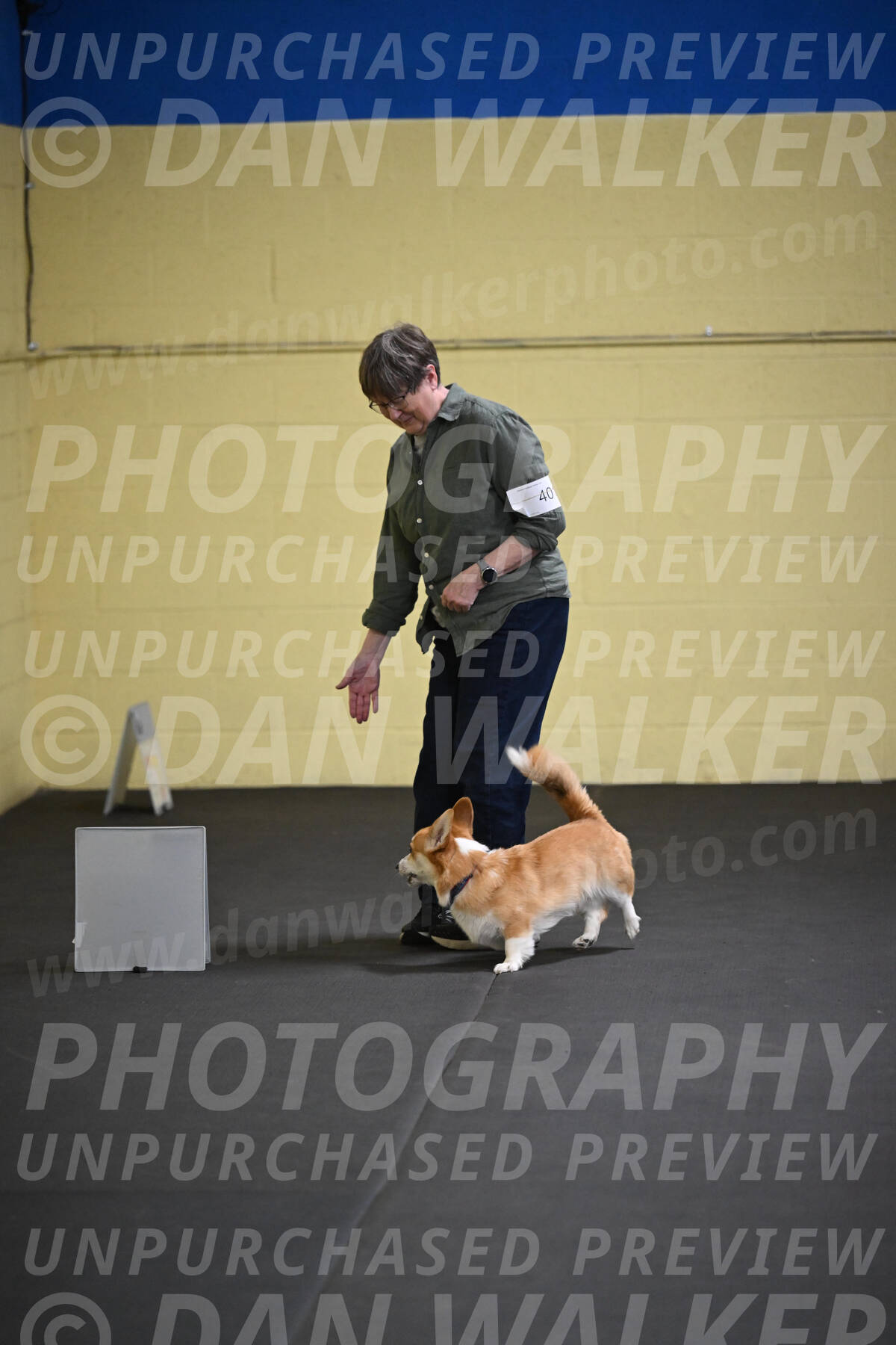 SAT401_0029