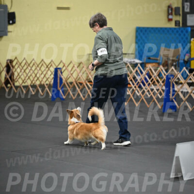 SAT401_0061