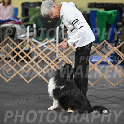 SAT402_0006