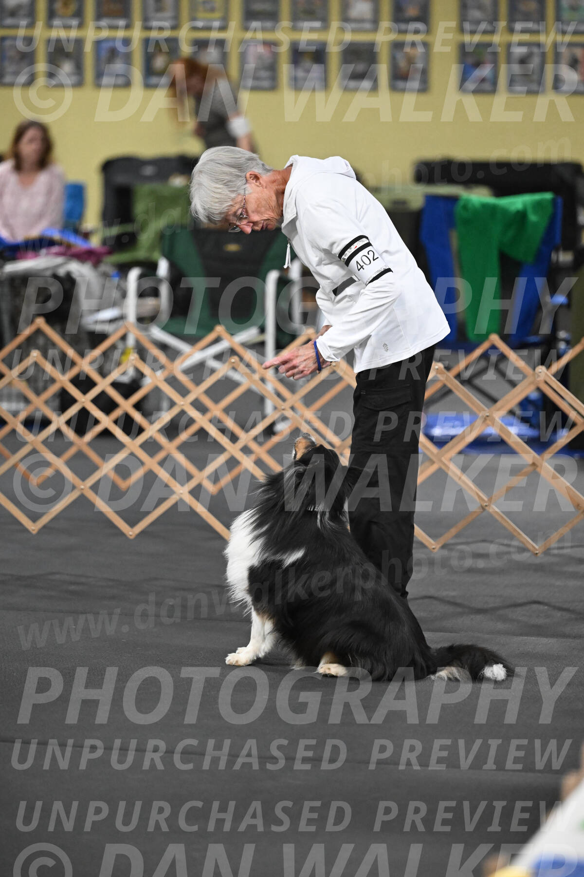 SAT402_0006