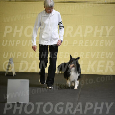SAT402_0017
