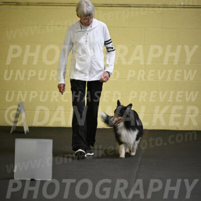 SAT402_0019