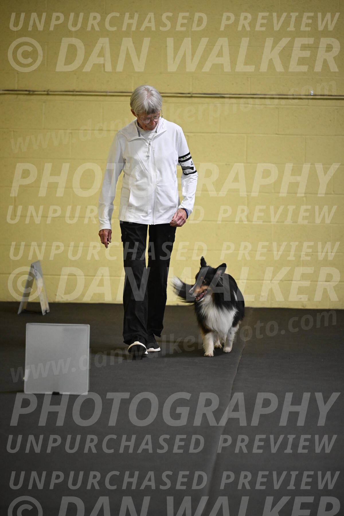 SAT402_0019