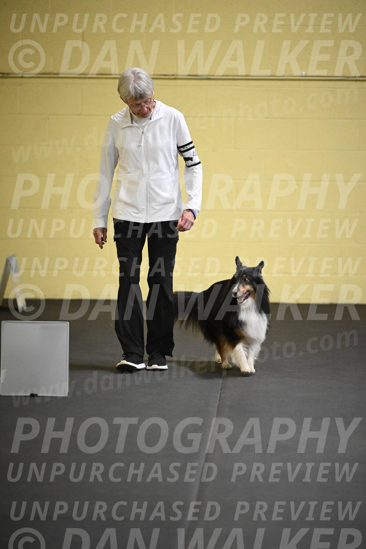 SAT402_0021