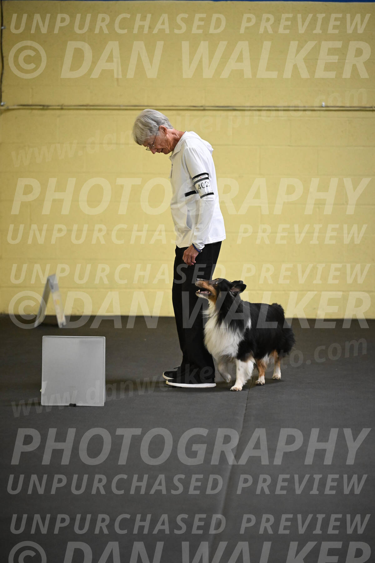 SAT402_0026