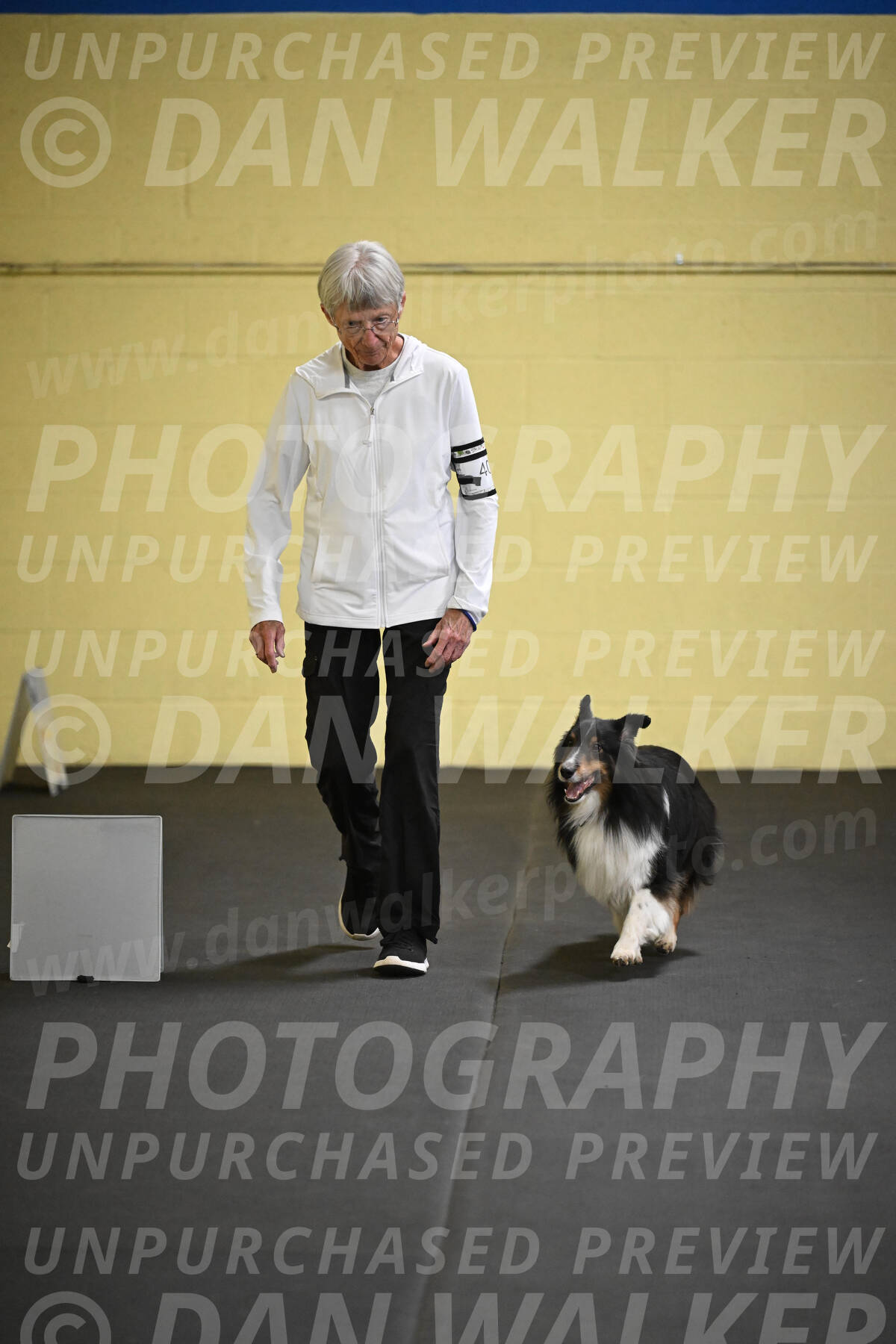 SAT402_0027